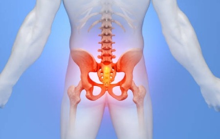 SACRAL SPINE STATION
