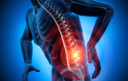 THORACIC & LUMBAR SPINE STATION